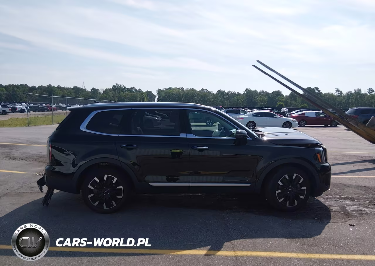 2023 Kia Telluride Sx VIN:5XYP54GC6PG401788 - 12