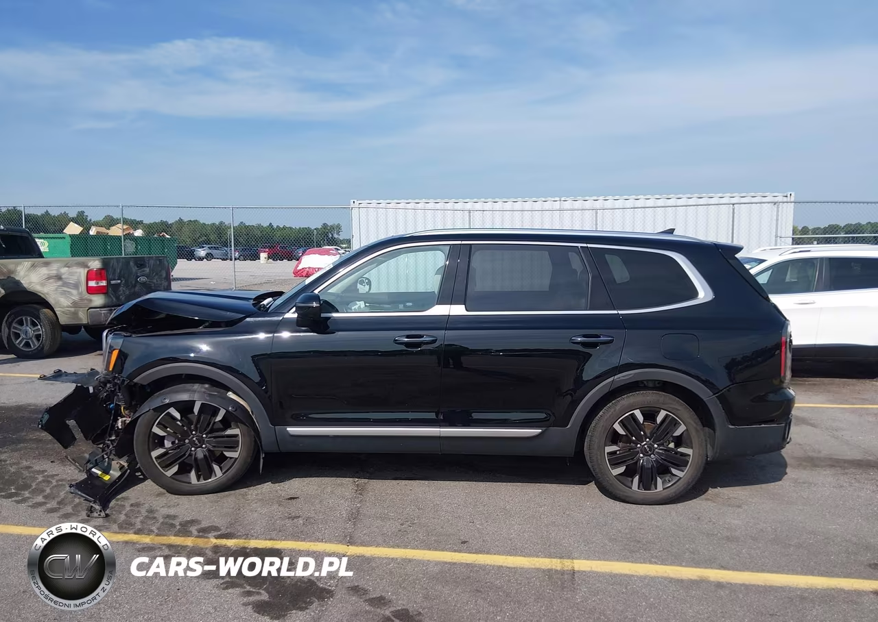 2023 Kia Telluride Sx VIN:5XYP54GC6PG401788 - 13