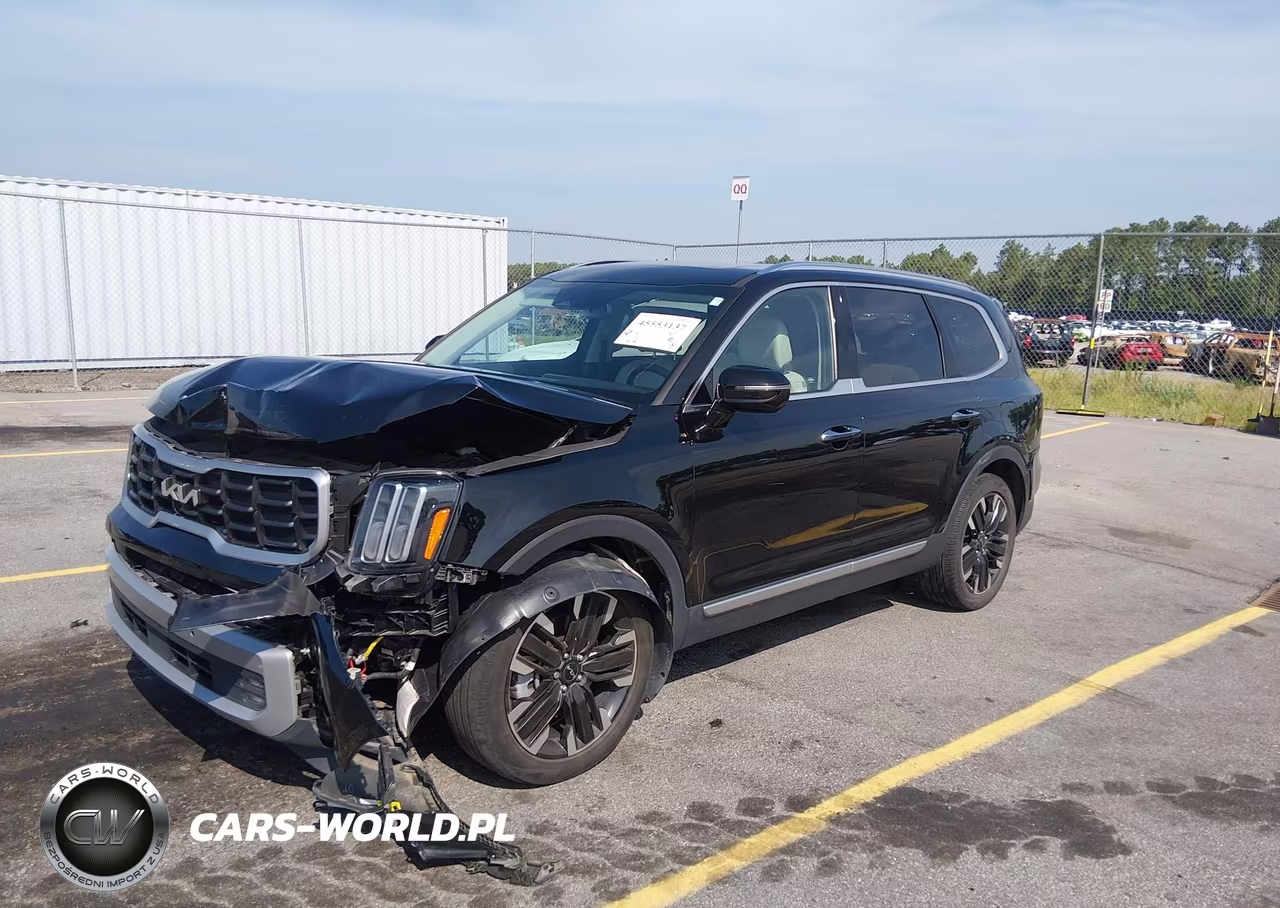 2023 Kia Telluride Sx VIN:5XYP54GC6PG401788 - 2