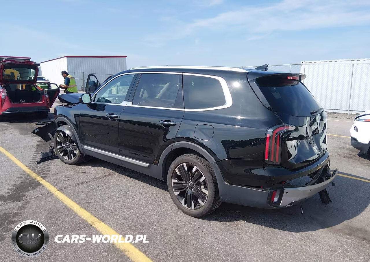 2023 Kia Telluride Sx VIN:5XYP54GC6PG401788 - 3