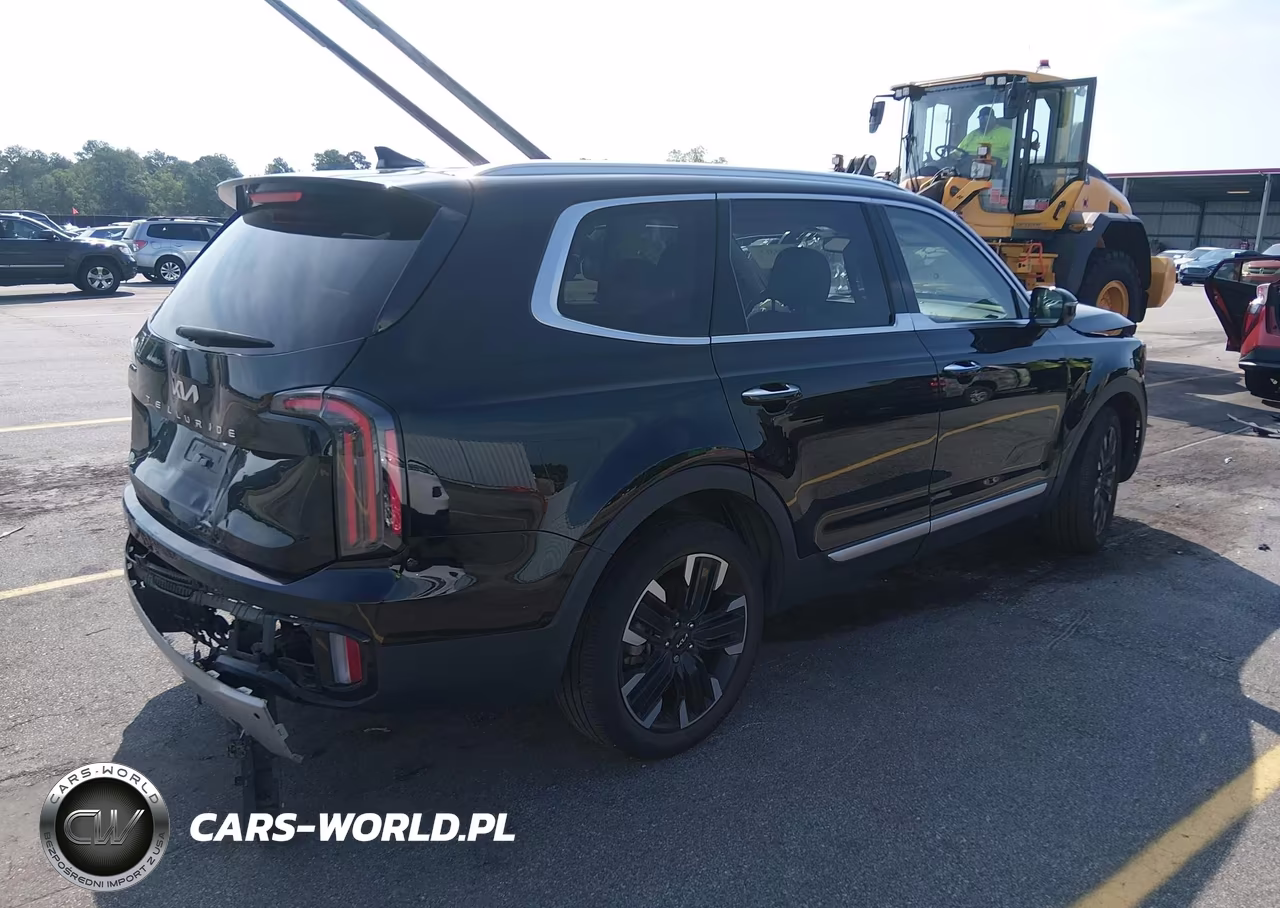 2023 Kia Telluride Sx VIN:5XYP54GC6PG401788 - 4