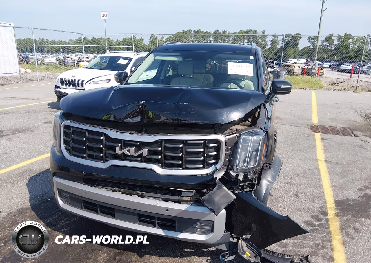 2023 Kia Telluride Sx VIN:5XYP54GC6PG401788 - 6