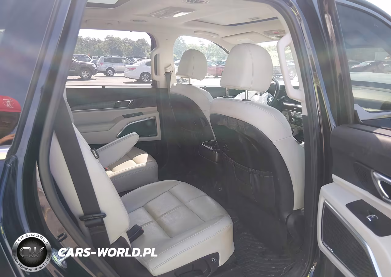 2023 Kia Telluride Sx VIN:5XYP54GC6PG401788 - 8