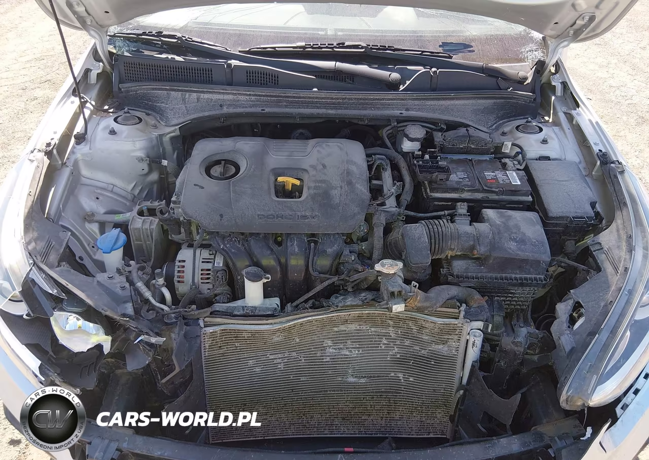 2019 Kia Forte Lxs VIN:3KPF24AD4KE137210 - 10
