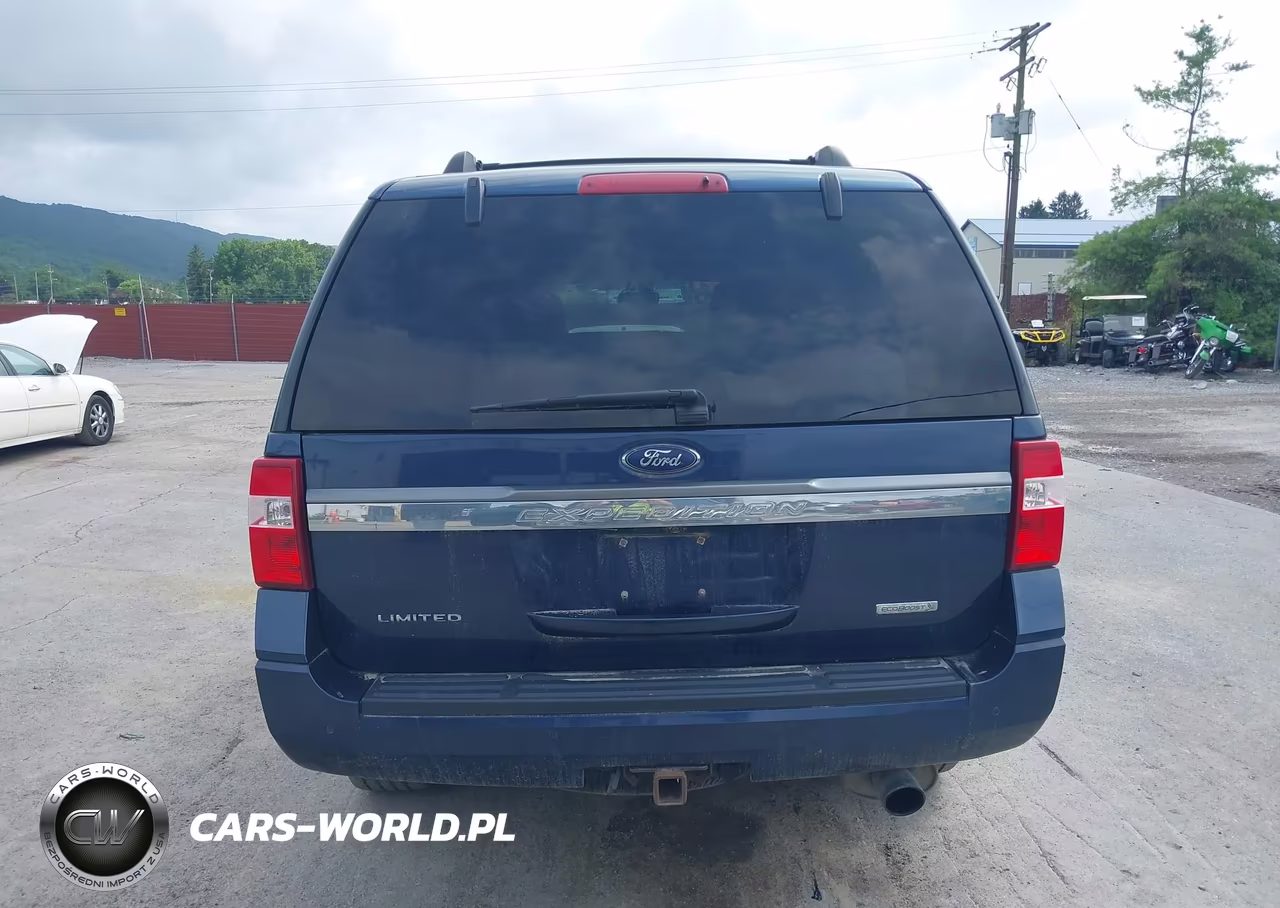 2015 Ford Expedition Limited VIN:1FMJU2ATXFEF21294 - 16