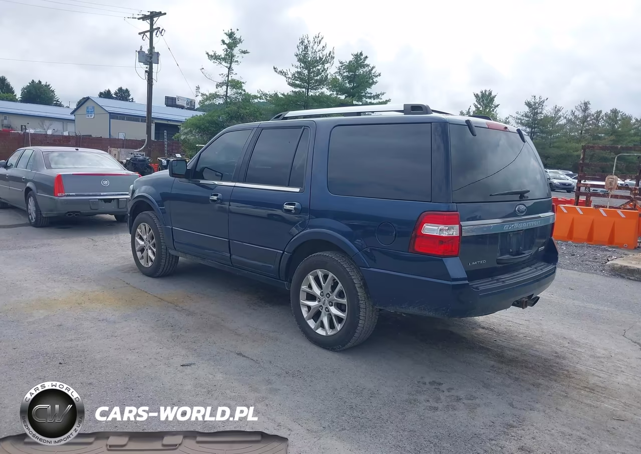 2015 Ford Expedition Limited VIN:1FMJU2ATXFEF21294 - 3