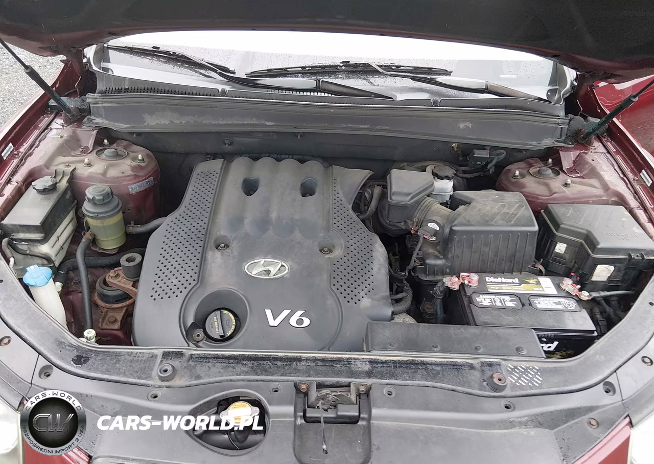 2008 Hyundai Santa Fe Gls VIN:5NMSG13D58H138430 - 10
