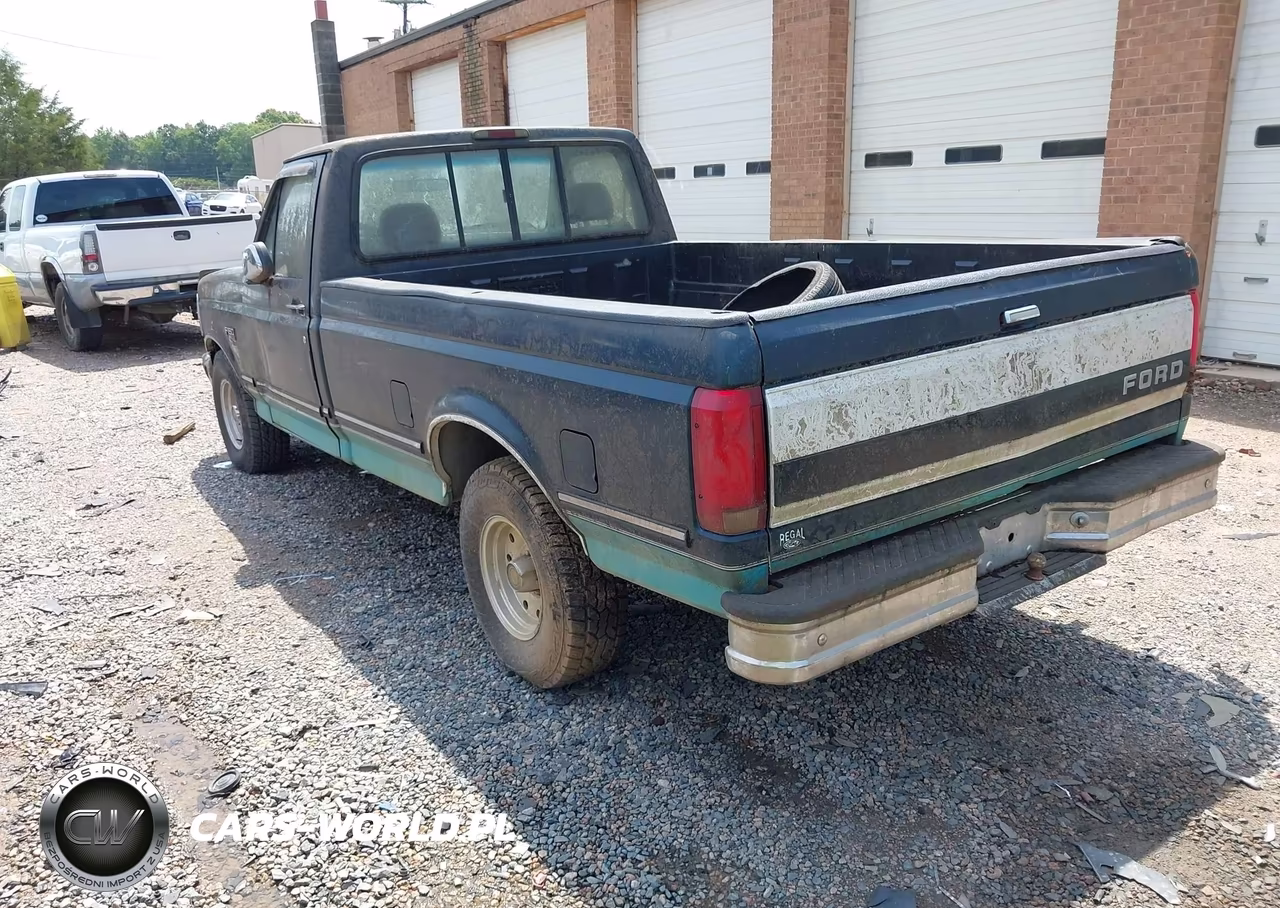 1995 Ford F150 VIN:1FTEF15N6SNA45786 - 3