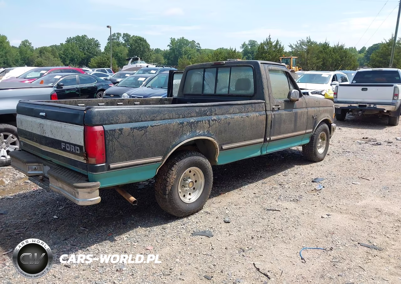 1995 Ford F150 VIN:1FTEF15N6SNA45786 - 4