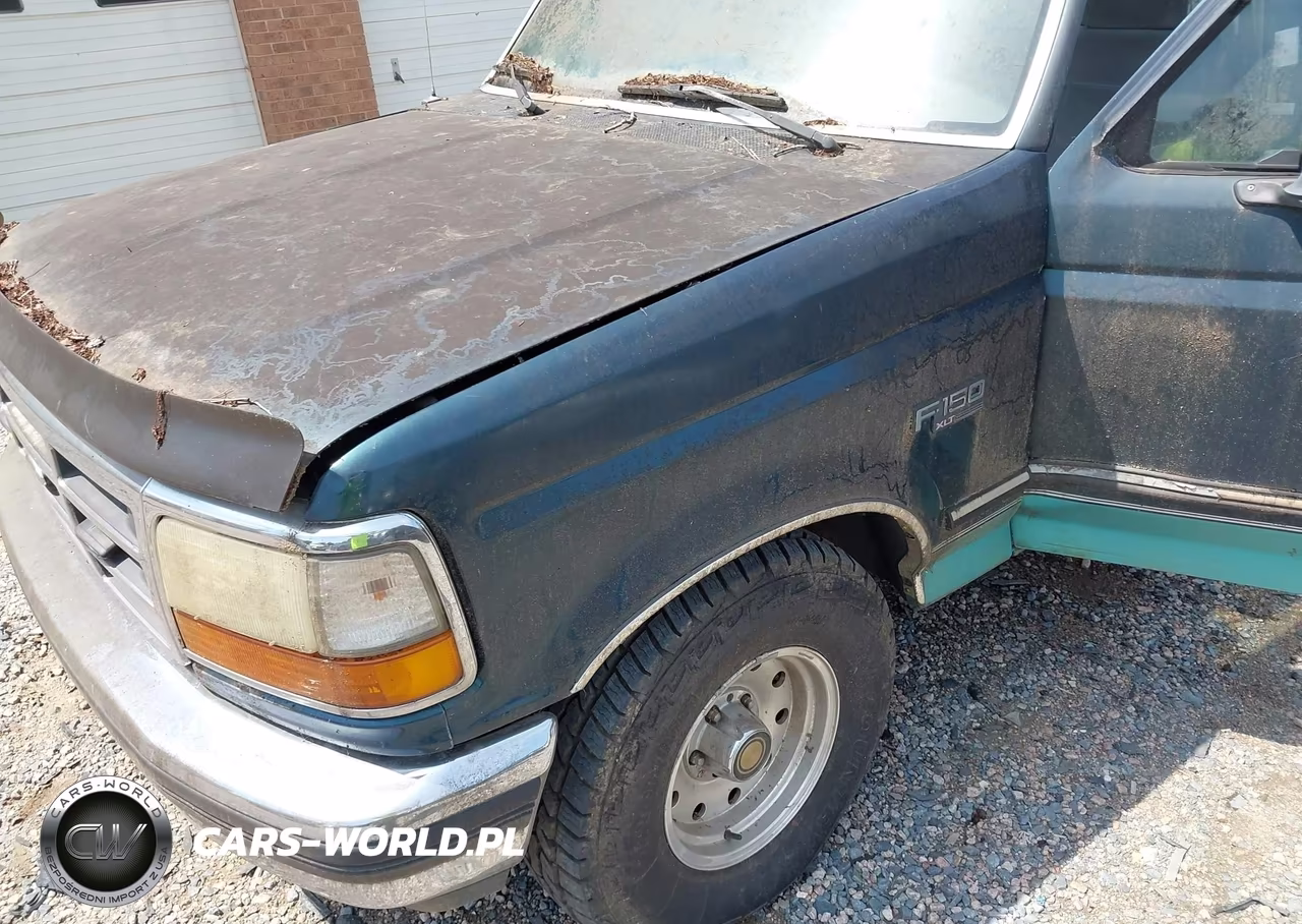 1995 Ford F150 VIN:1FTEF15N6SNA45786 - 6