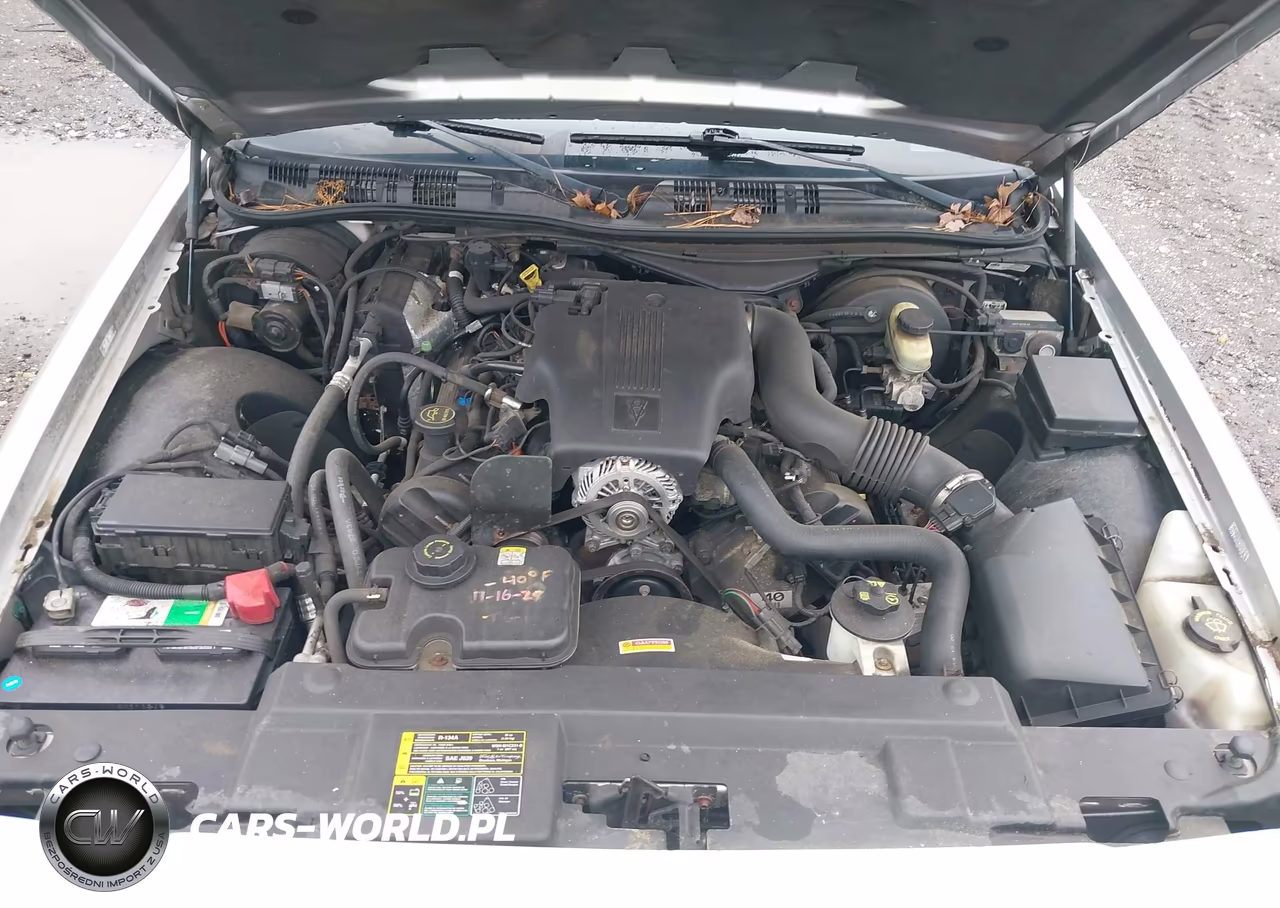 2004 Mercury Grand Marquis Ls VIN:2MEHM75W94X635298 - 10
