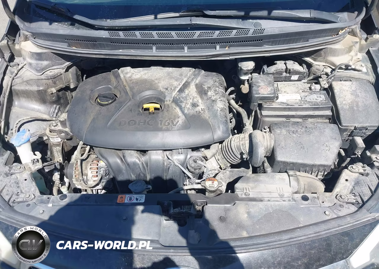 2016 Kia Forte Lx VIN:KNAFX4A63G5594898 - 10