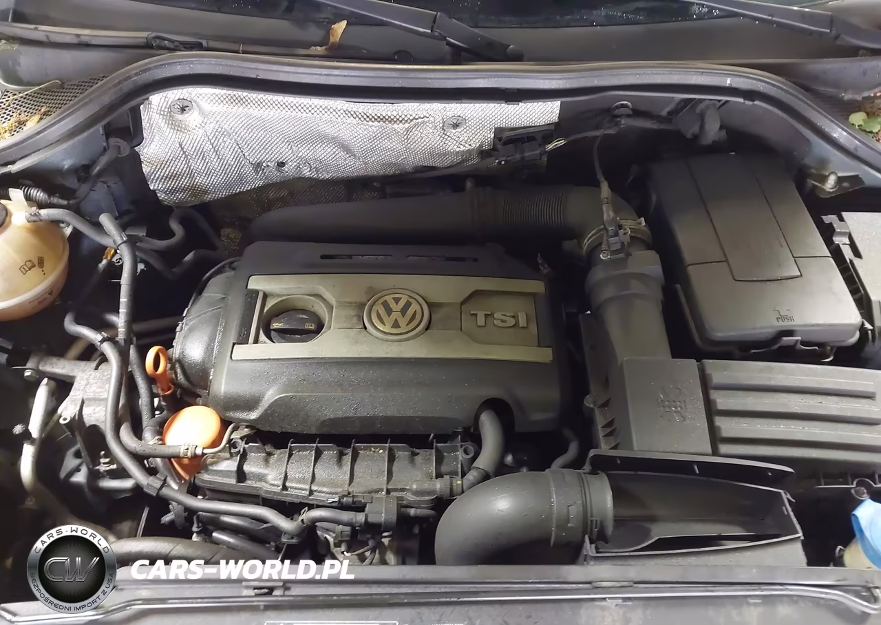 2009 Volkswagen Tiguan S-Se-Sel VIN:WVGAV75N49W513227 - 10