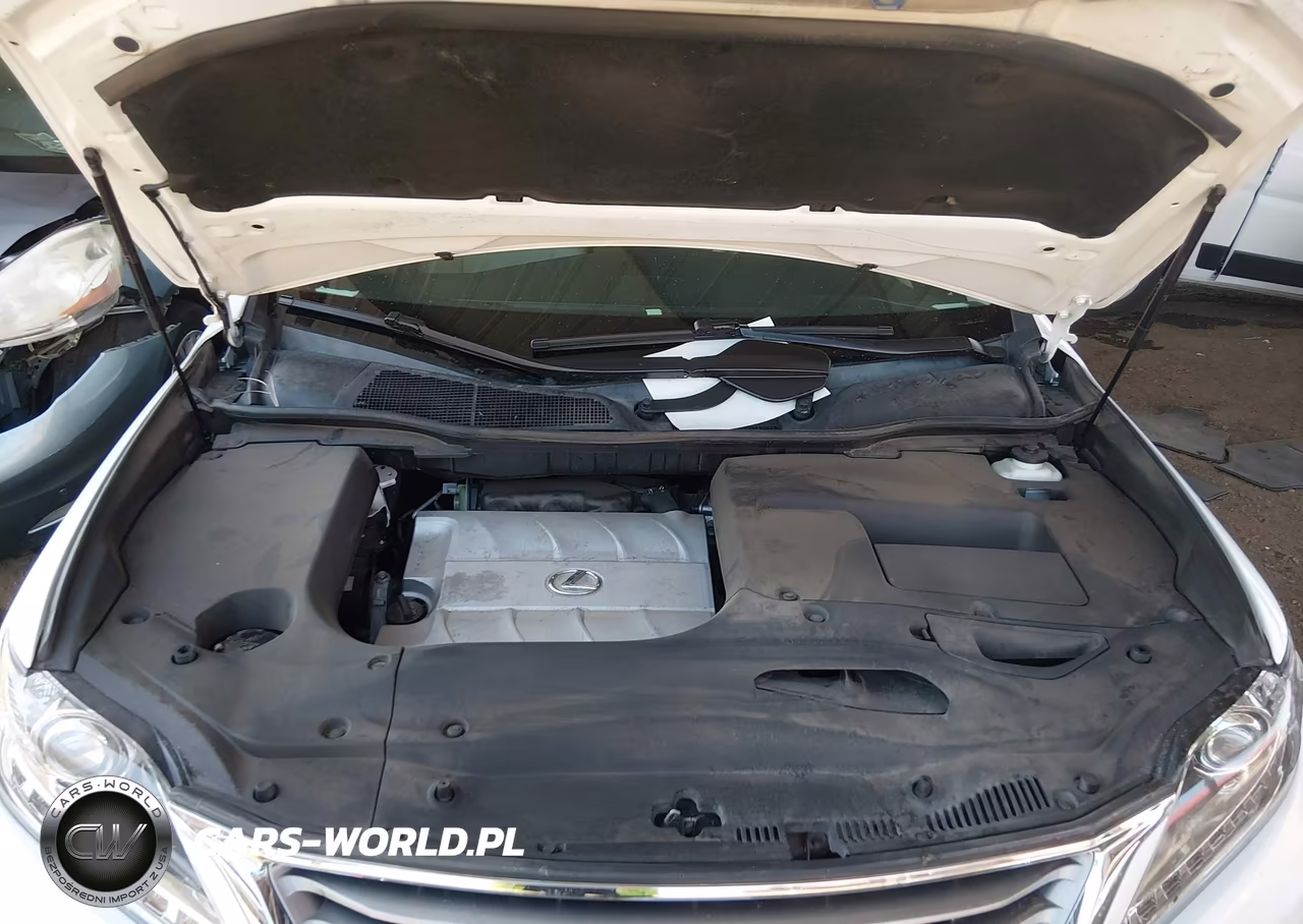 2015 Lexus Rx 350 VIN:2T2BK1BA1FC267365 - 10