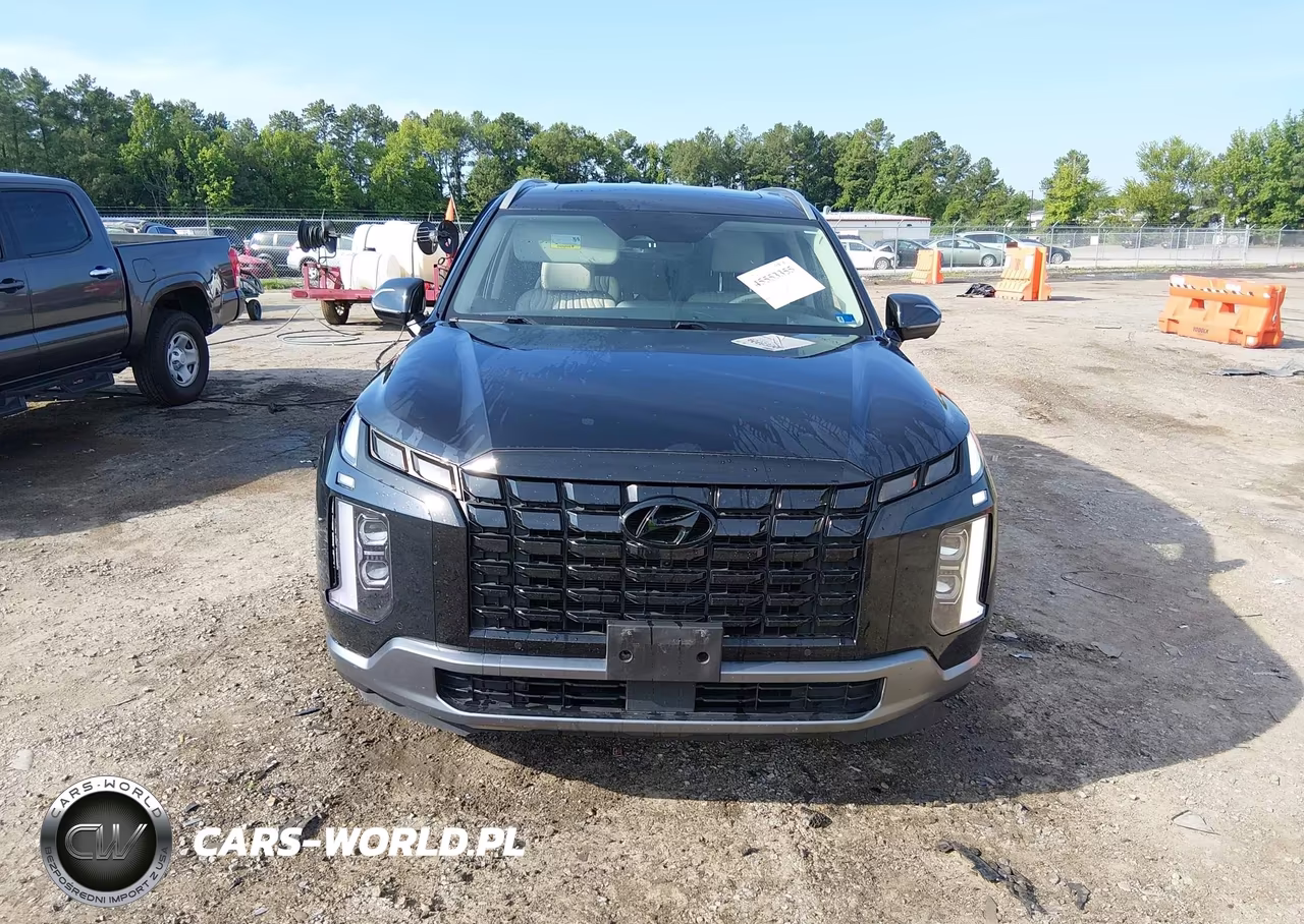 2024 Hyundai Palisade Limited VIN:KM8R5DGE2RU768968 - 12