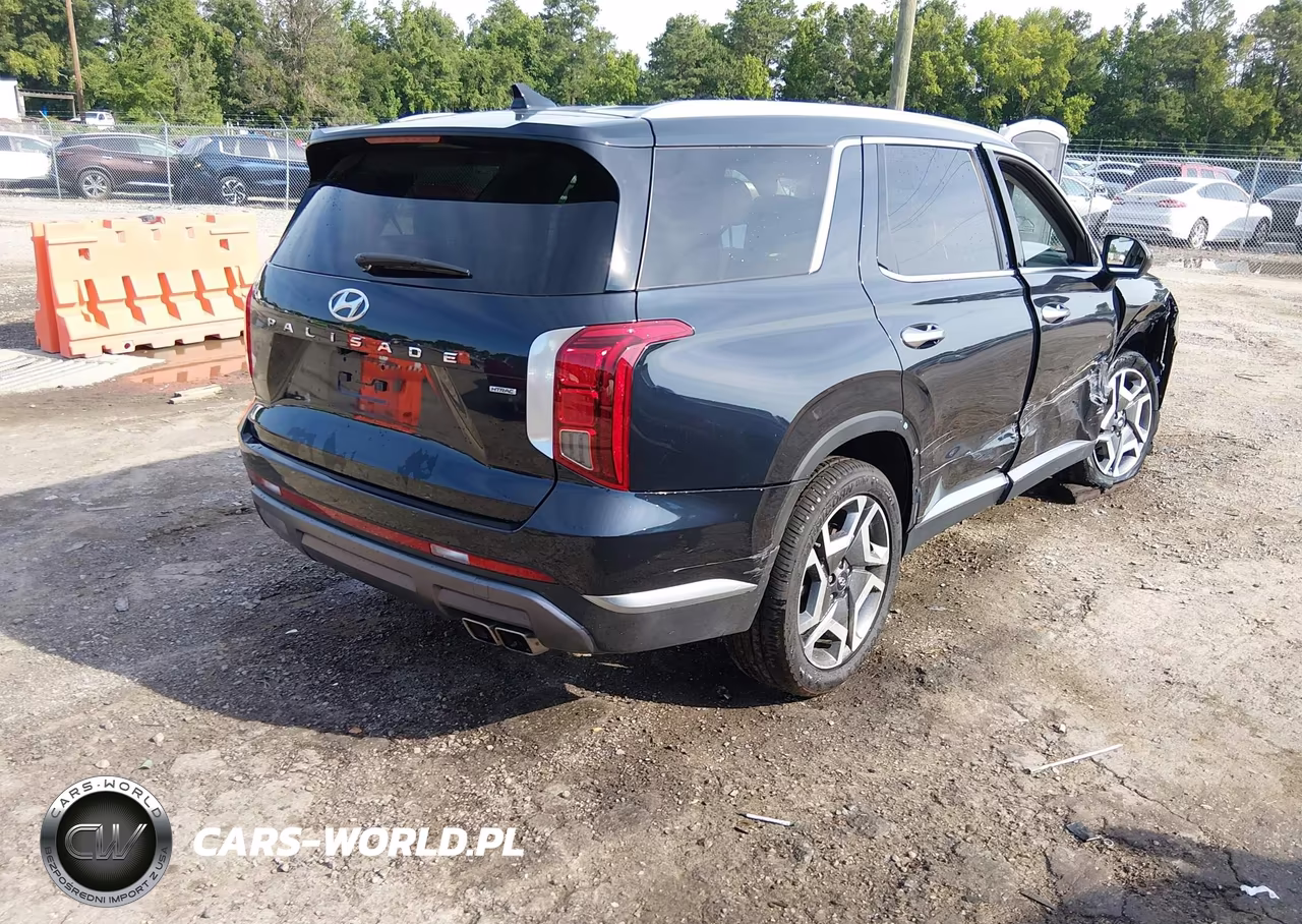 2024 Hyundai Palisade Limited VIN:KM8R5DGE2RU768968 - 4