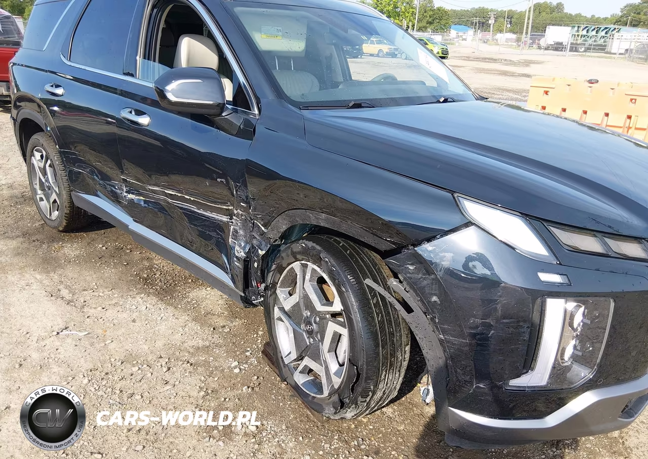 2024 Hyundai Palisade Limited VIN:KM8R5DGE2RU768968 - 6