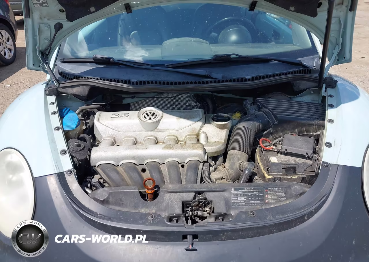 2010 Volkswagen New Beetle 2.5L Final Edition VIN:3VWRW3AG5AM023627 - 10
