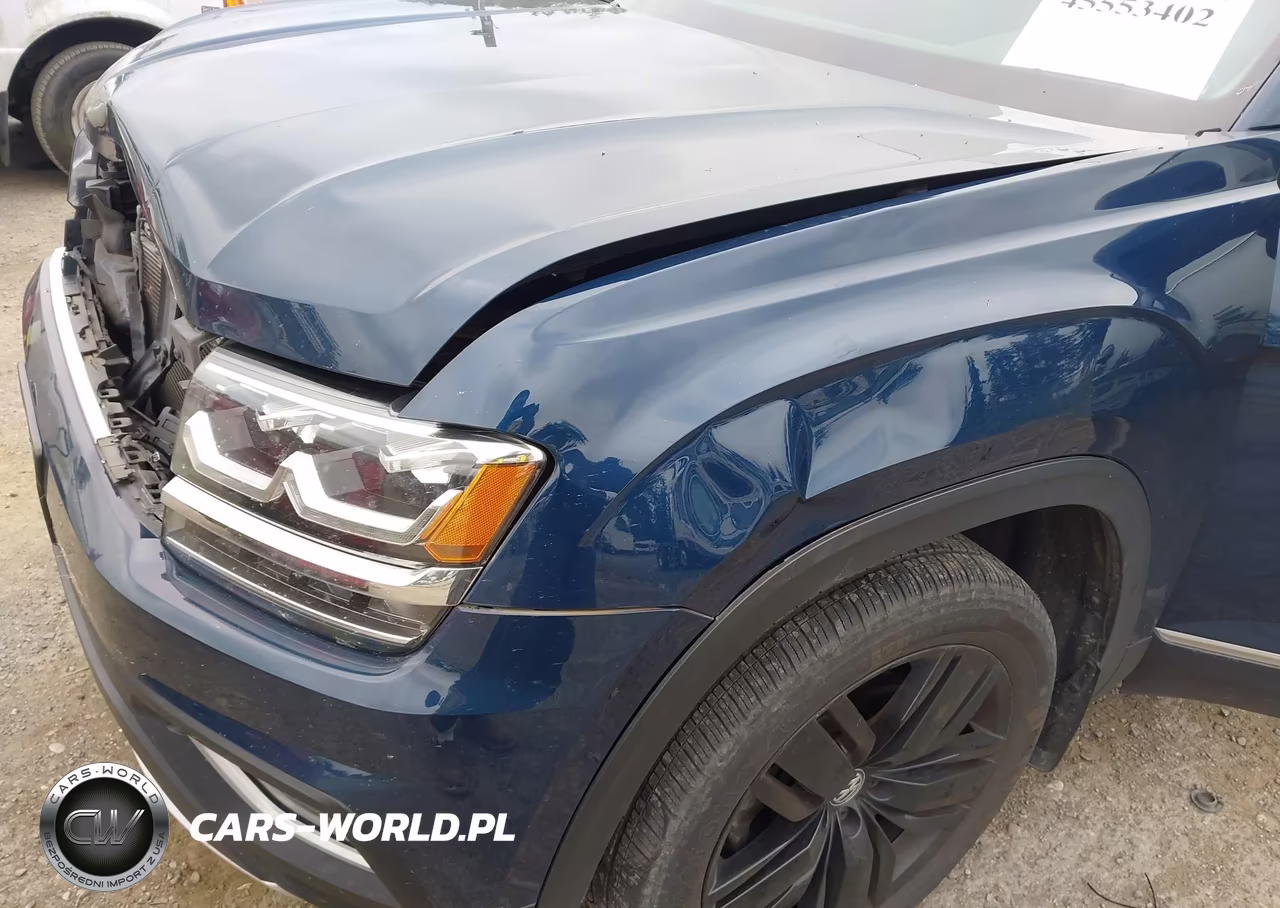 2019 Volkswagen Atlas 3.6L V6 Sel VIN:1V2MR2CA4KC619269 - 18