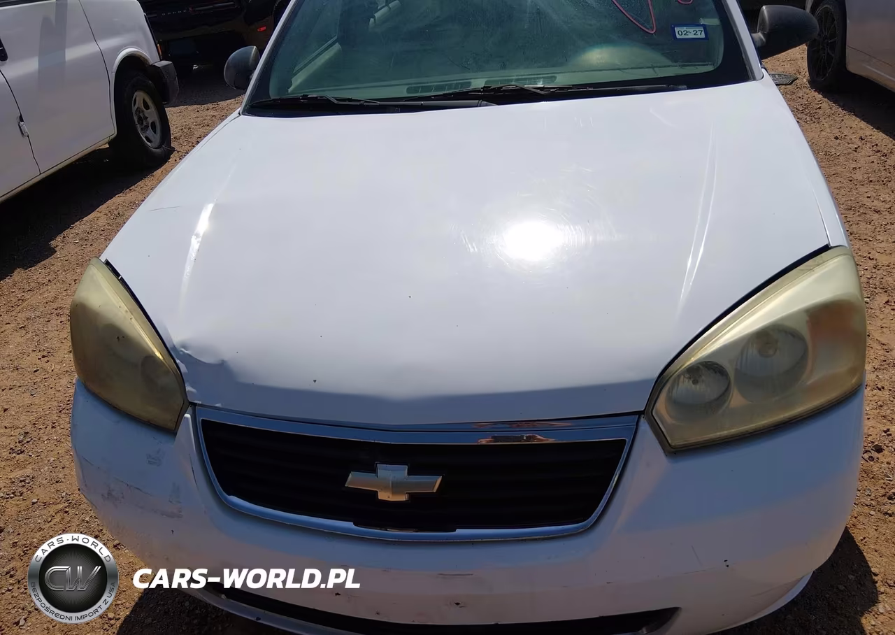 2006 Chevrolet Malibu Lt VIN:1G1ZT51F66F165922 - 10