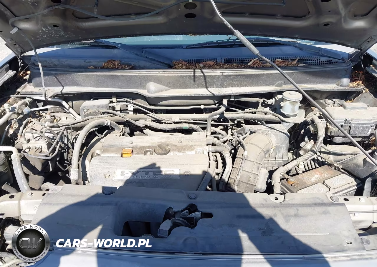 2008 Honda Element Sc VIN:5J6YH18968L004059 - 10