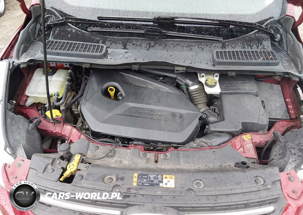 2014 Ford Escape Se VIN:1FMCU0GX7EUB93134 - 10