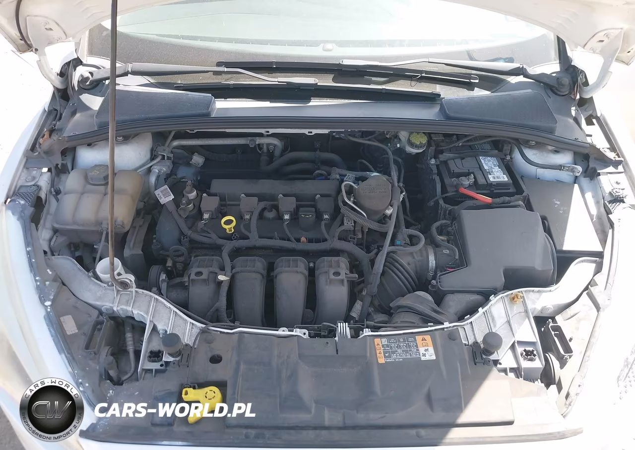 2015 Ford Focus Se VIN:1FADP3F22FL384657 - 10