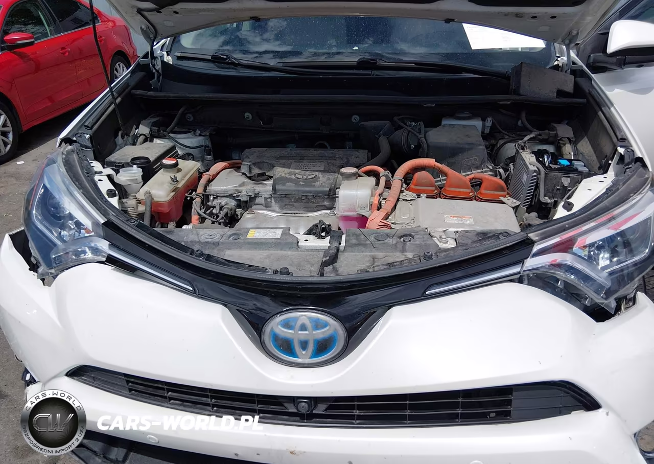 2016 Toyota Rav4 Hybrid Limited VIN:JTMDJREVXGD040421 - 10