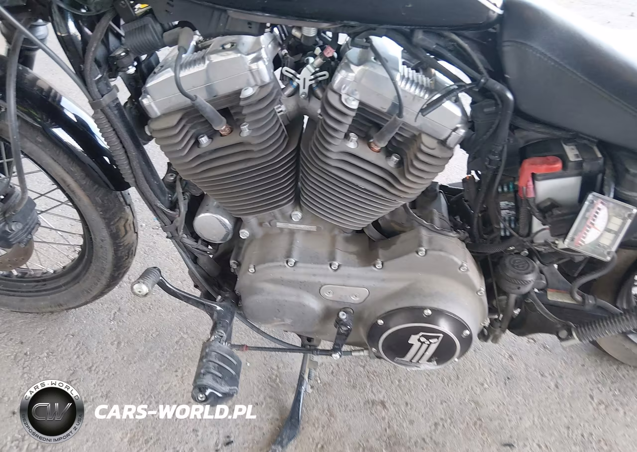 2009 Harley-Davidson Xl1200 N VIN:1HD1CZ3159K449081 - 9