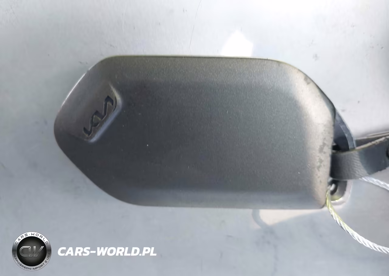 2023 Kia Telluride Sx X-Line VIN:5XYP5DGC7PG389232 - 11