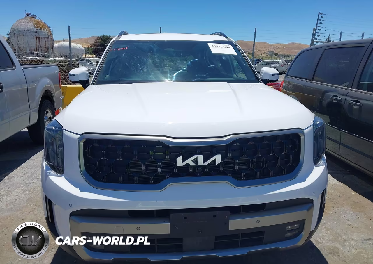 2023 Kia Telluride Sx X-Line VIN:5XYP5DGC7PG389232 - 13