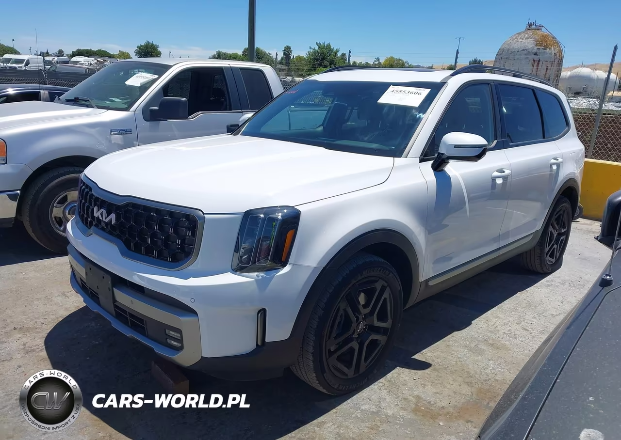 2023 Kia Telluride Sx X-Line VIN:5XYP5DGC7PG389232 - 2