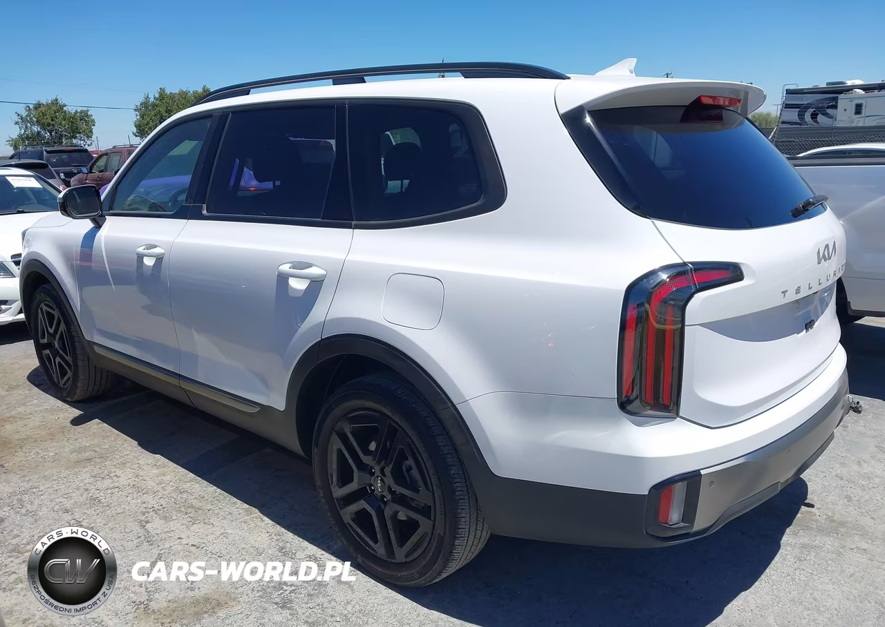 2023 Kia Telluride Sx X-Line VIN:5XYP5DGC7PG389232 - 3