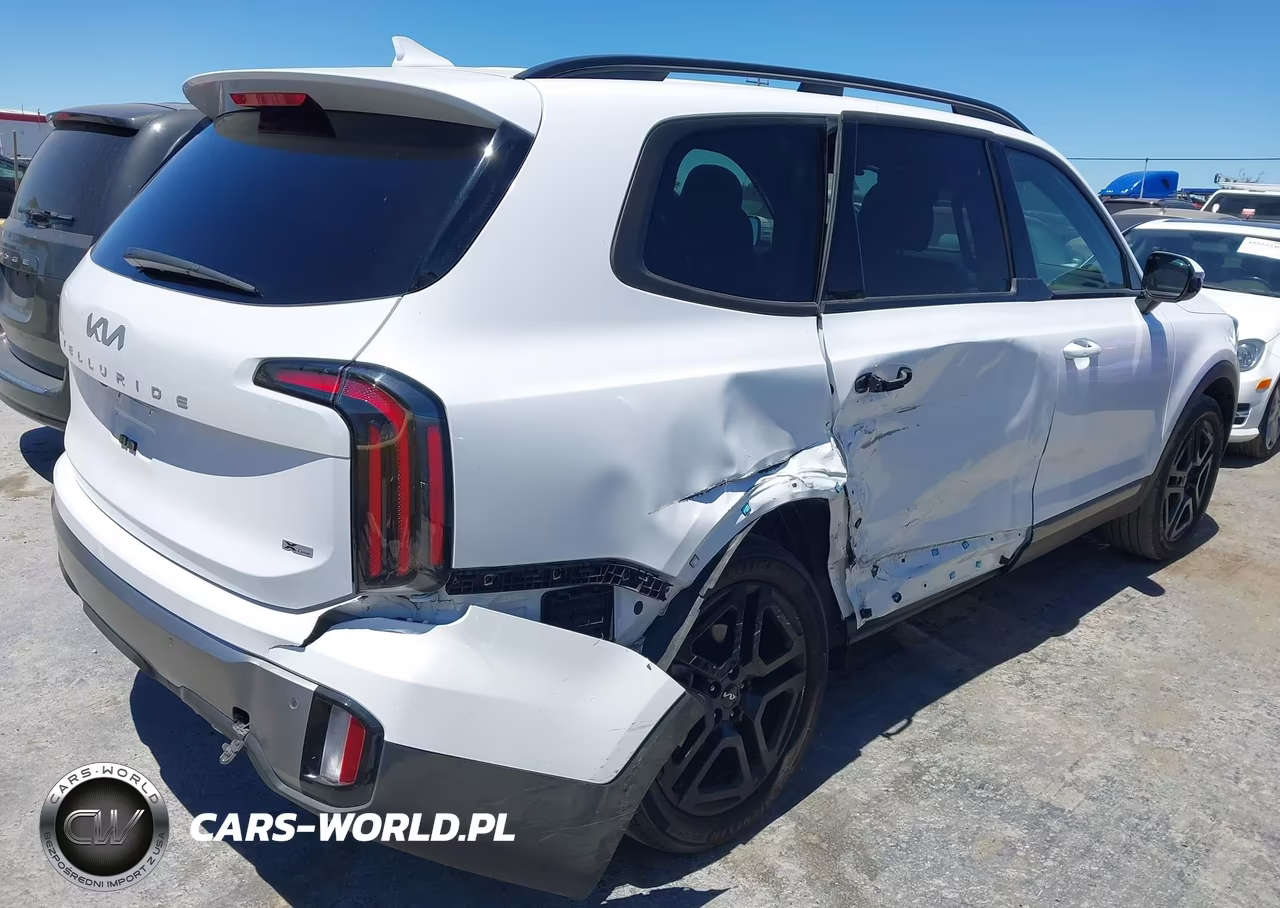 2023 Kia Telluride Sx X-Line VIN:5XYP5DGC7PG389232 - 4