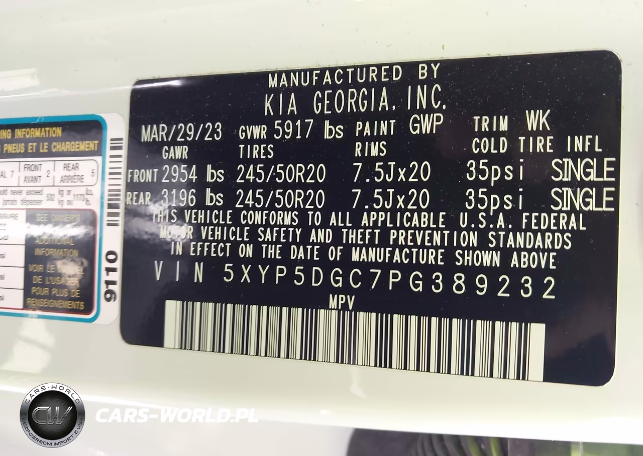 2023 Kia Telluride Sx X-Line VIN:5XYP5DGC7PG389232 - 9