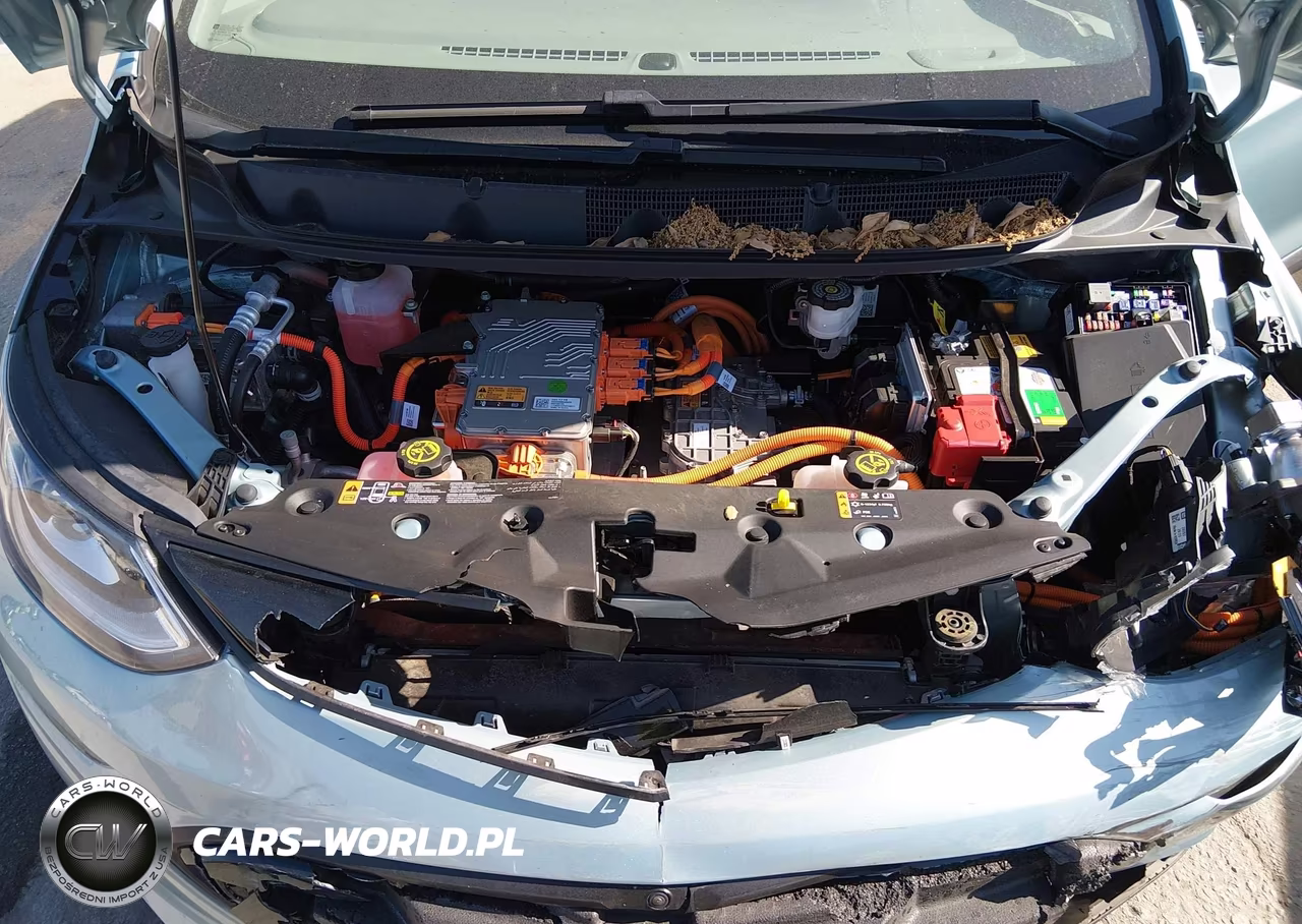 2019 Chevrolet Bolt Ev Premier VIN:1G1FZ6S04K4110618 - 10