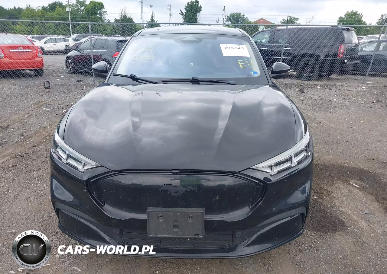 2023 Ford Mustang Mach-E Premium VIN:3FMTK3SU4PMA83976 - 11