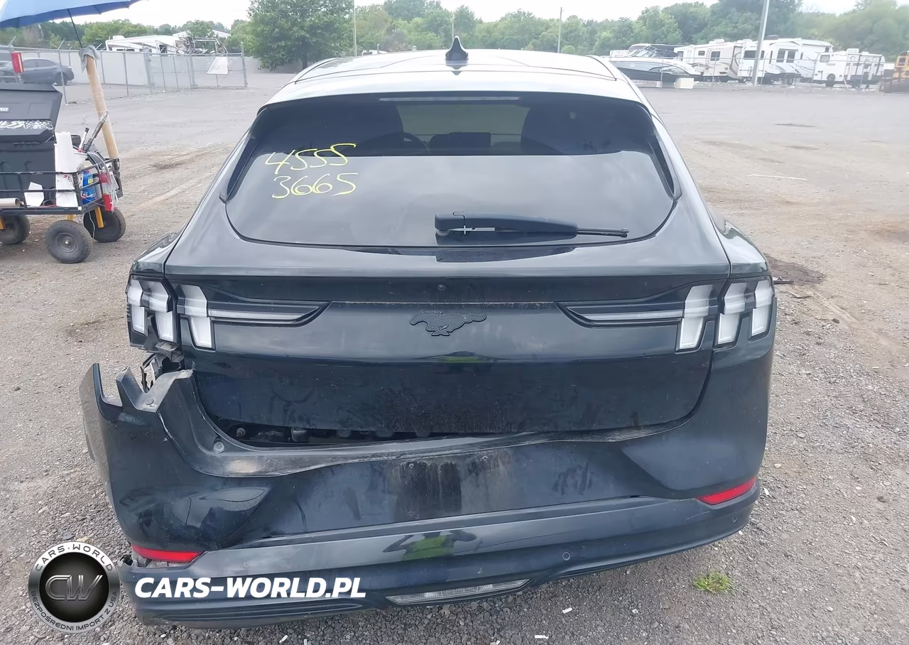 2023 Ford Mustang Mach-E Premium VIN:3FMTK3SU4PMA83976 - 15