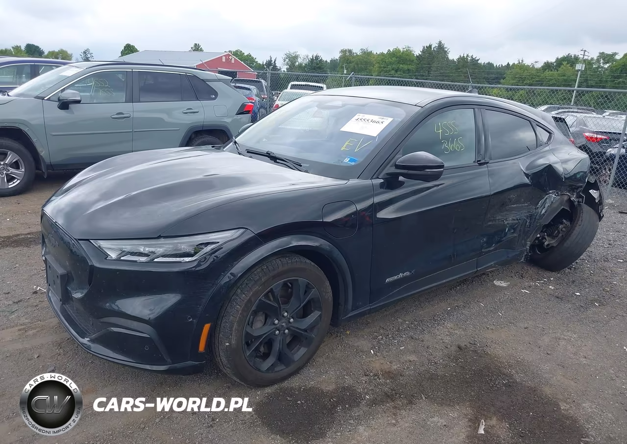 2023 Ford Mustang Mach-E Premium VIN:3FMTK3SU4PMA83976 - 2