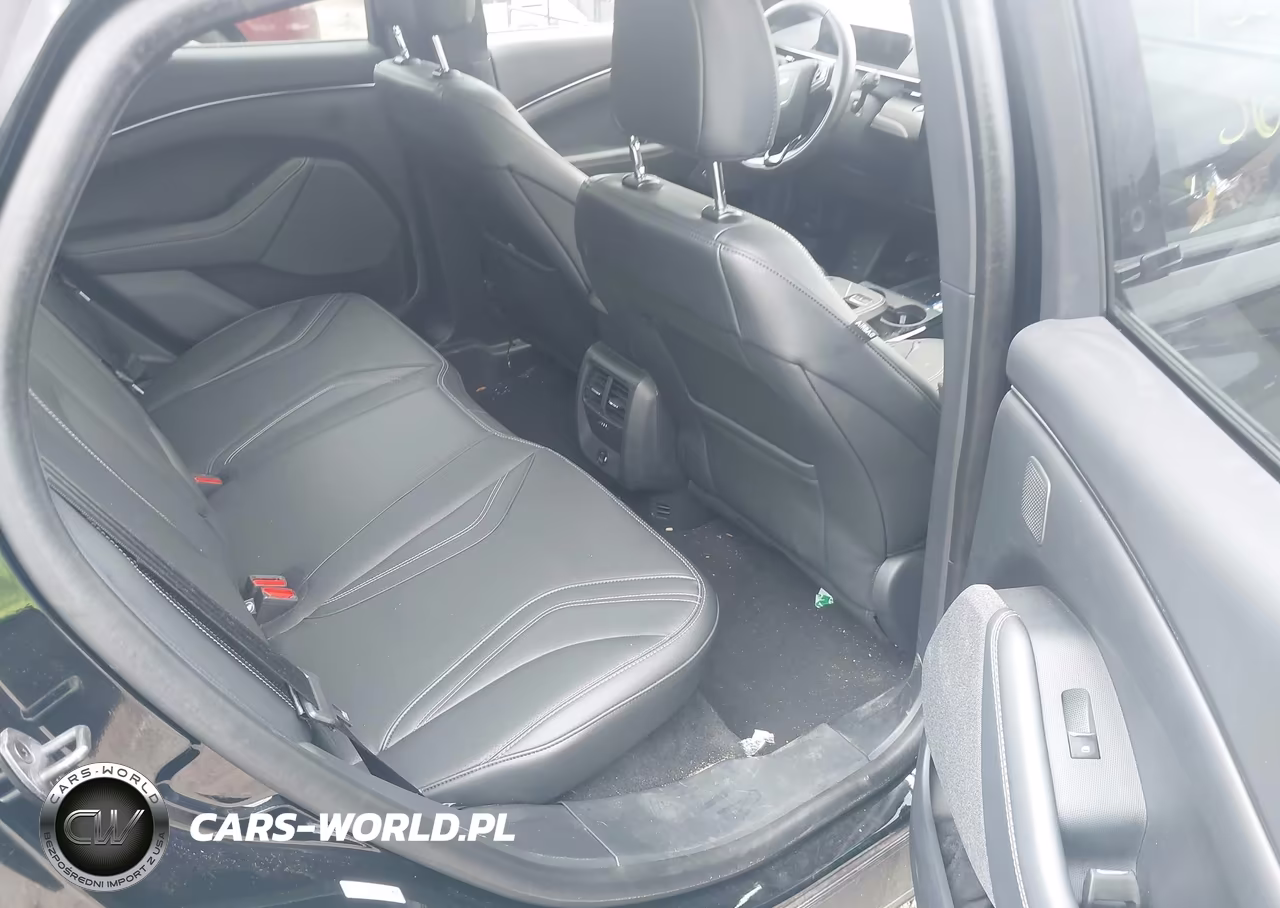2023 Ford Mustang Mach-E Premium VIN:3FMTK3SU4PMA83976 - 8