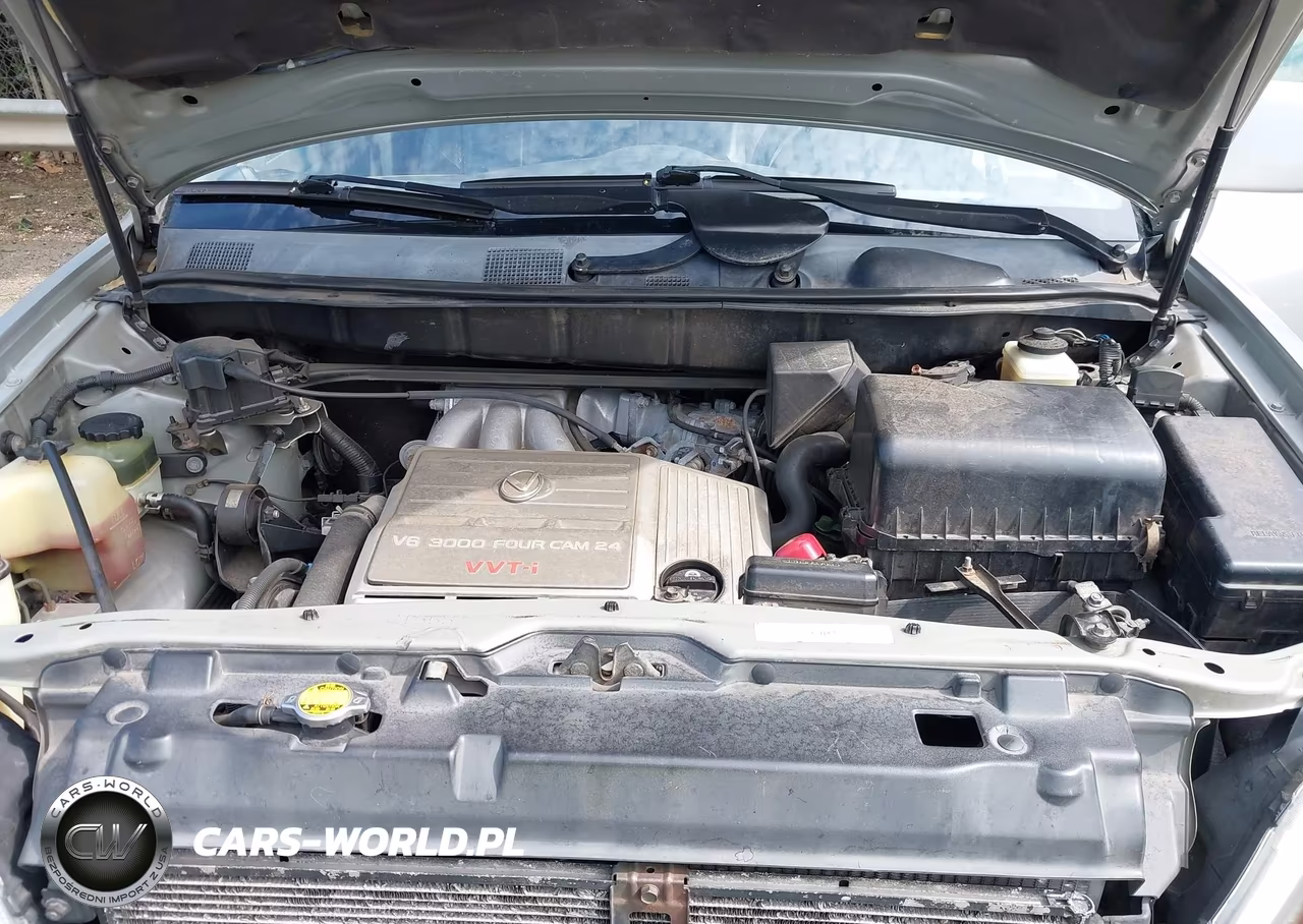 2000 Lexus Rx 300 VIN:JT6HF10UXY0142000 - 10