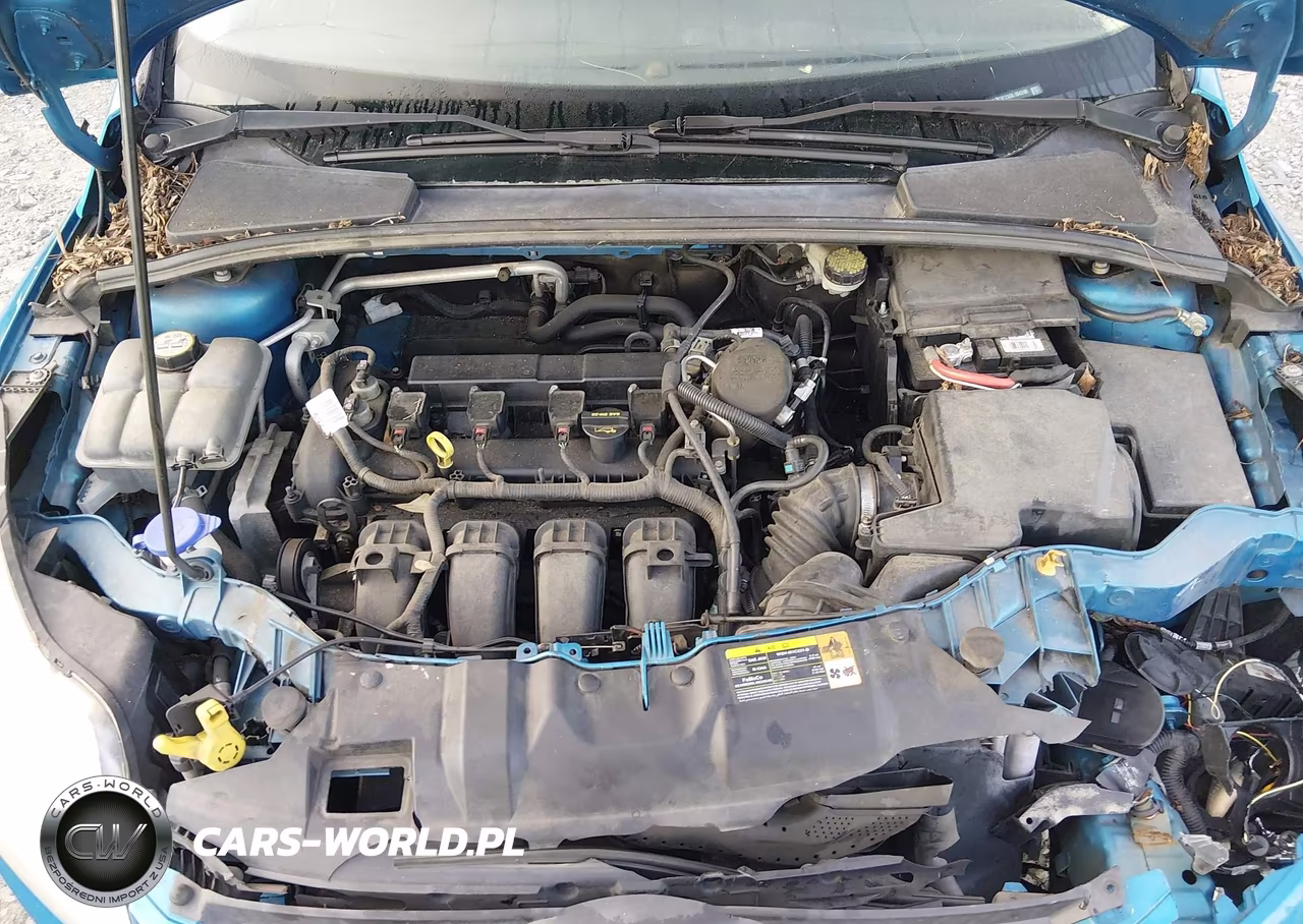 2013 Ford Focus Se VIN:1FADP3F2XDL104240 - 10