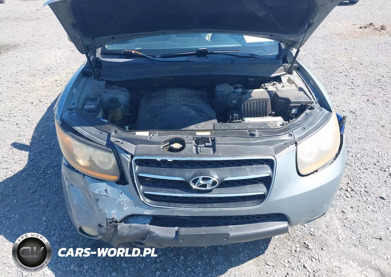 2008 Hyundai Santa Fe Limited-Se VIN:5NMSH13E38H223417 - 10