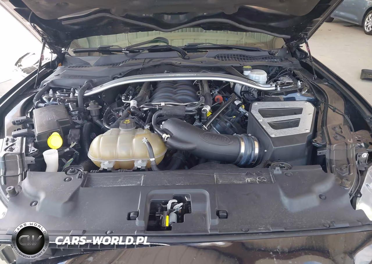 2019 Ford Mustang Gt VIN:1FA6P8CFXK5141545 - 10