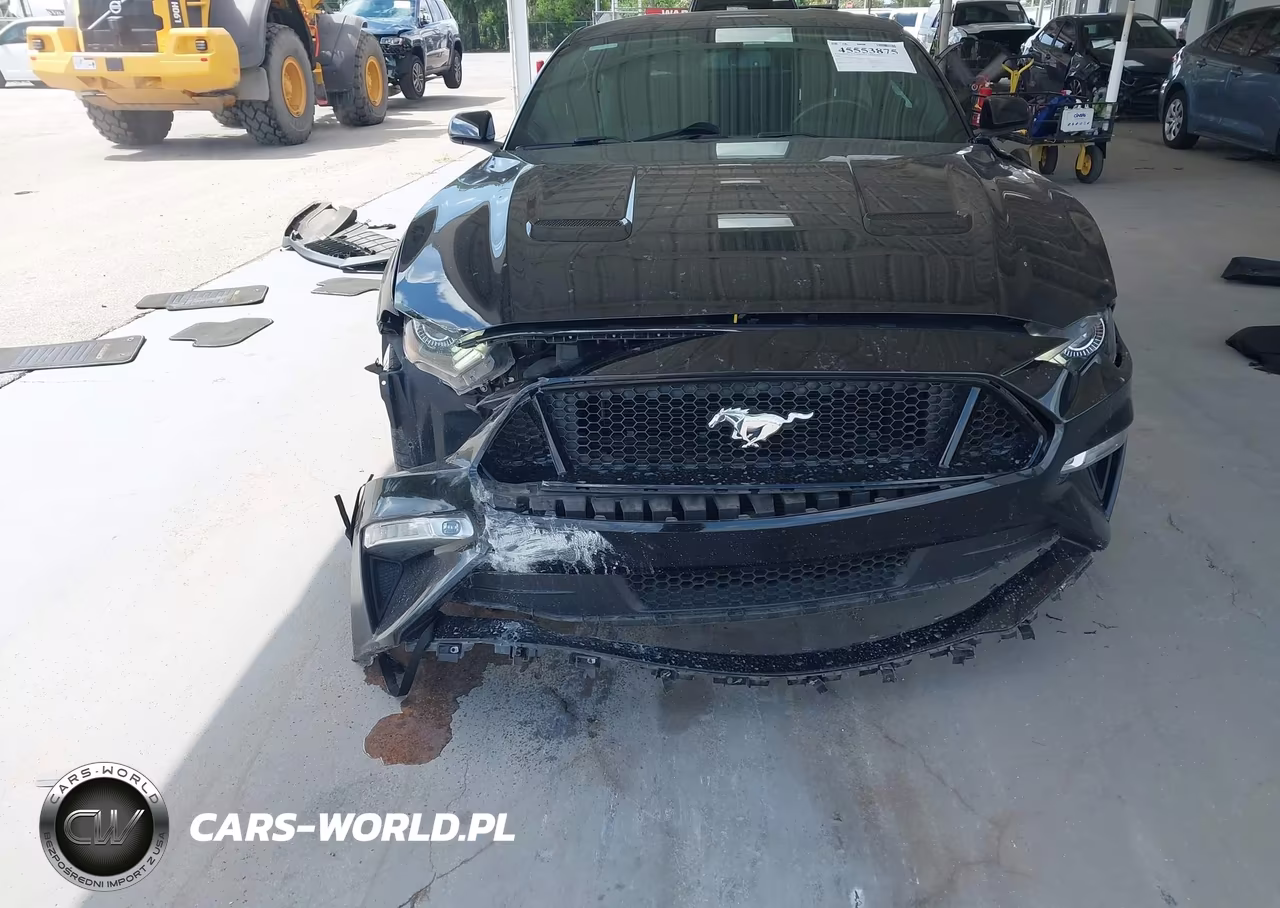 2019 Ford Mustang Gt VIN:1FA6P8CFXK5141545 - 12