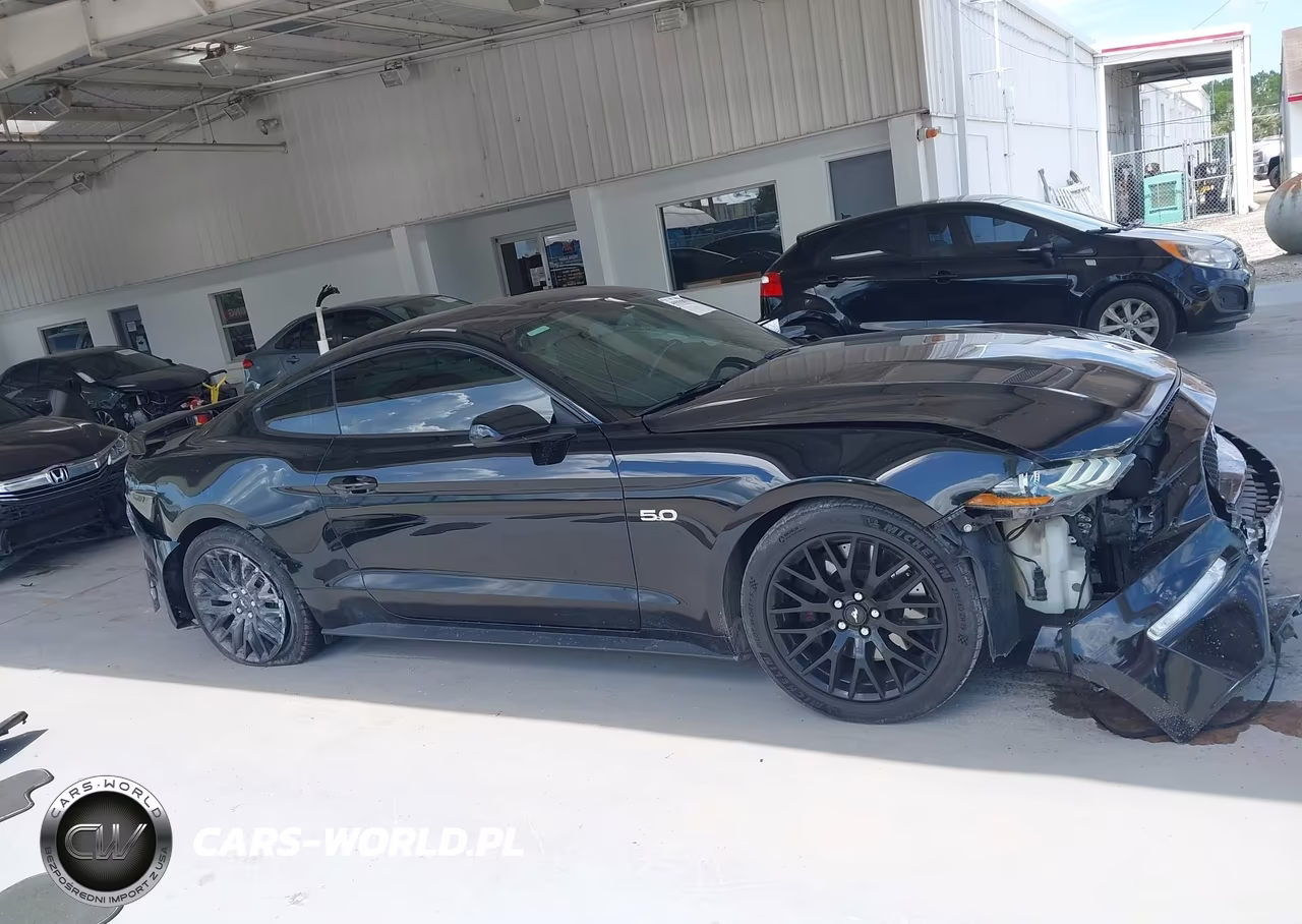 2019 Ford Mustang Gt VIN:1FA6P8CFXK5141545 - 13