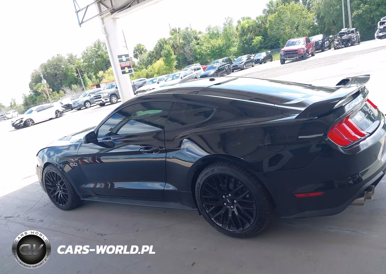 2019 Ford Mustang Gt VIN:1FA6P8CFXK5141545 - 14