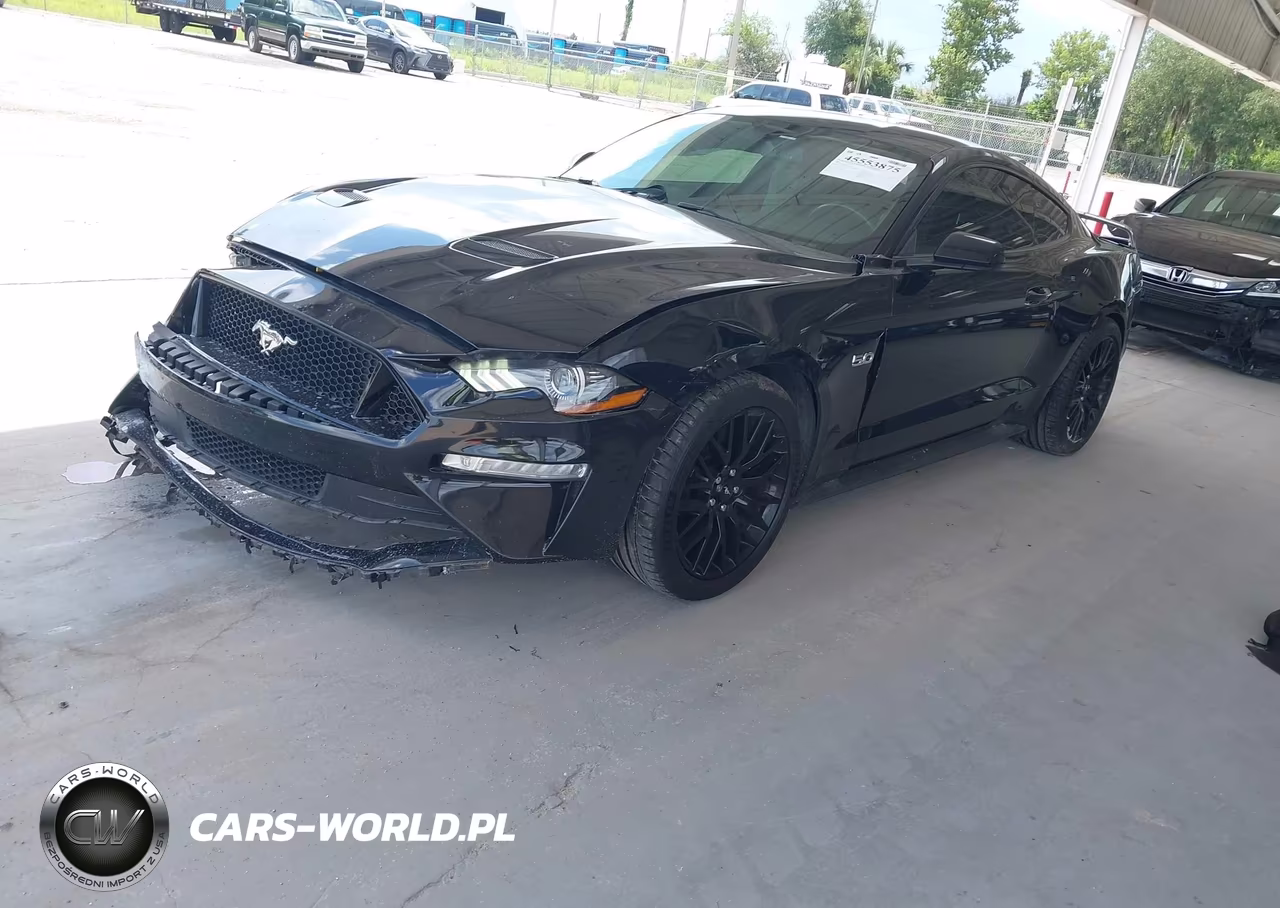 2019 Ford Mustang Gt VIN:1FA6P8CFXK5141545 - 2