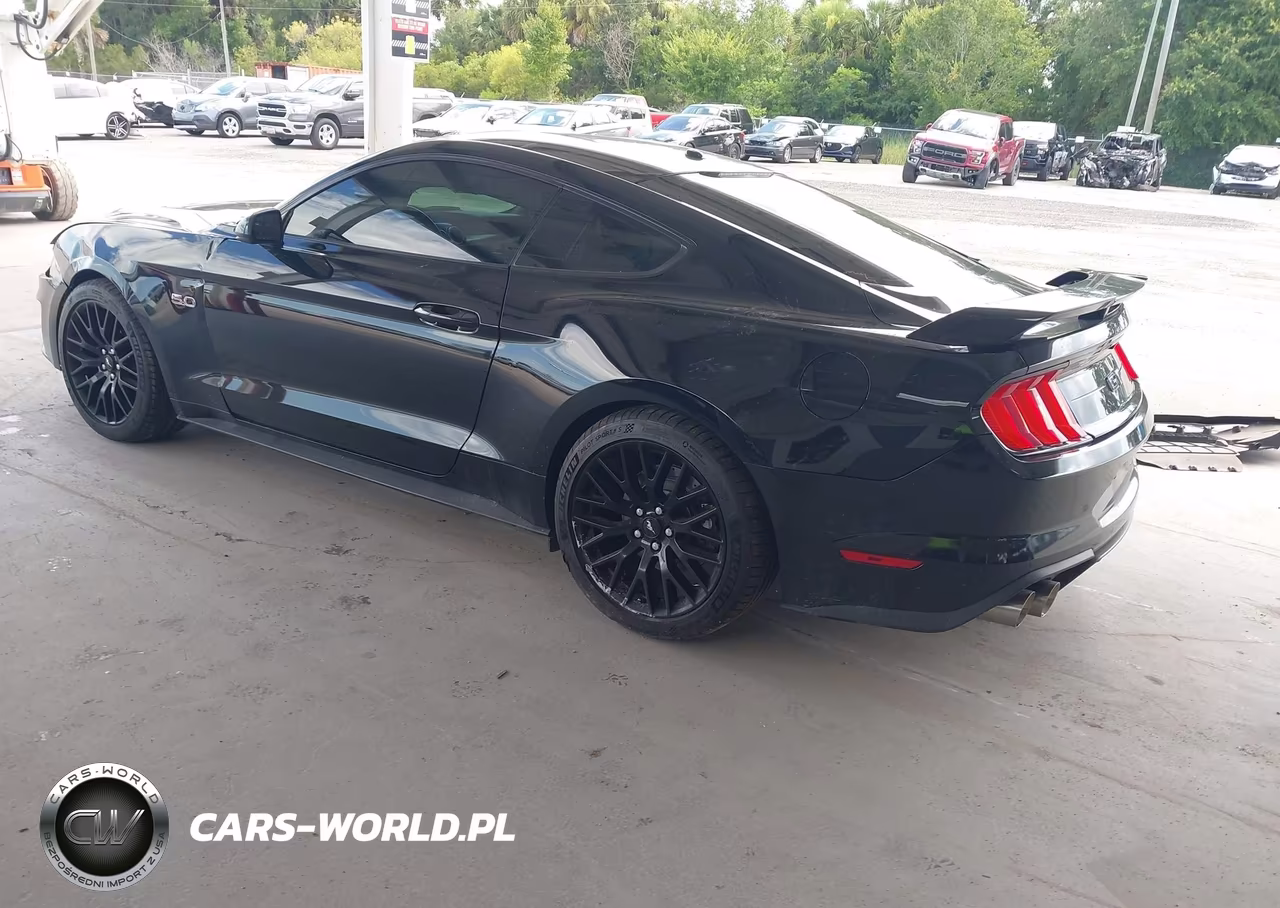 2019 Ford Mustang Gt VIN:1FA6P8CFXK5141545 - 3