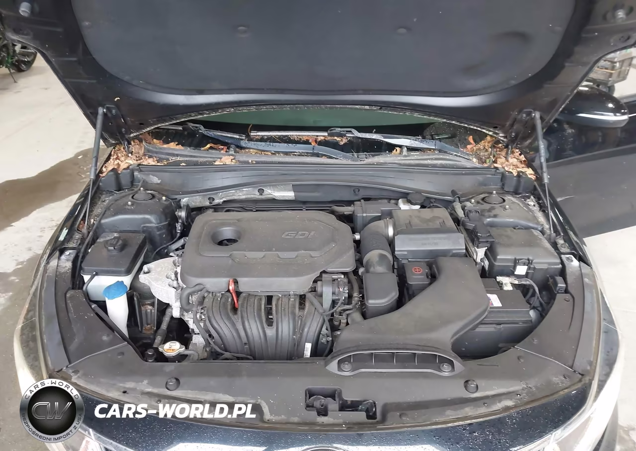 2018 Kia Optima Ex VIN:5XXGU4L31JG260732 - 10